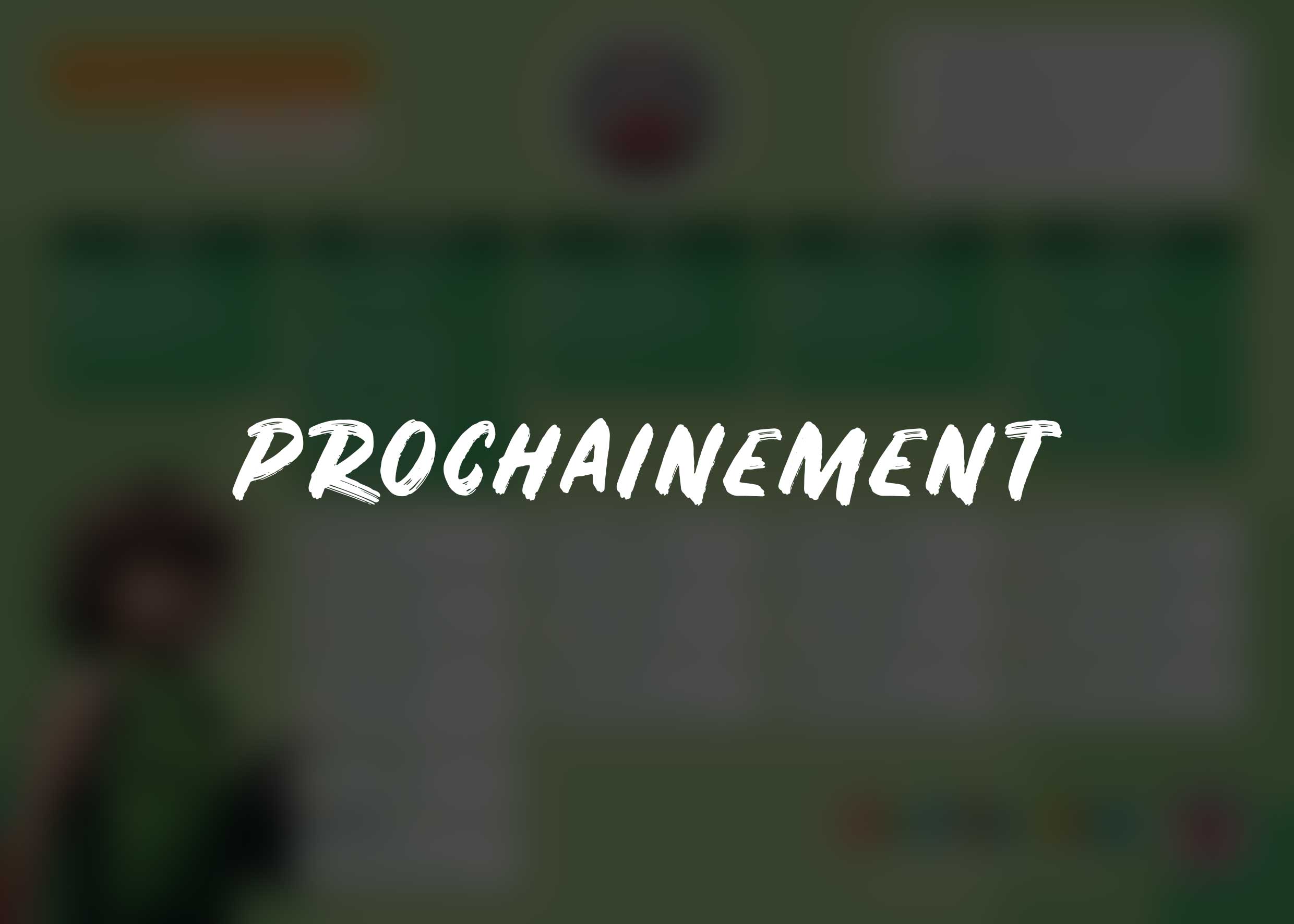 Planning en cours de fabrication